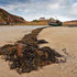 Beached